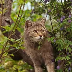 Гостевой дом Bergstube Бад-Лангензальца