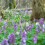 Bergstube Гостевой дом