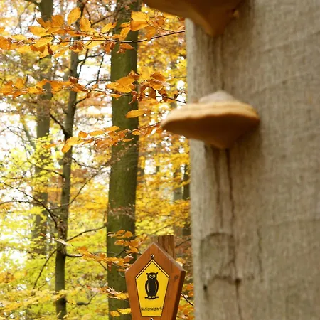 Bergstube 3*