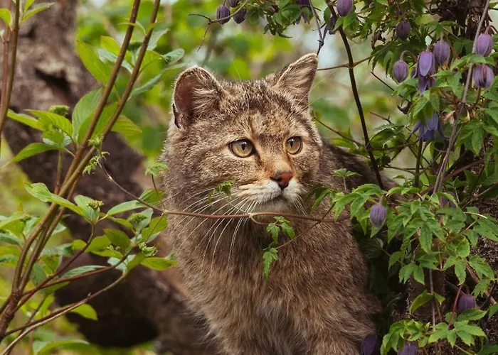 Affittacamere Bergstube Bad Langensalza