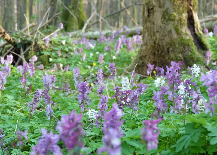 Bergstube Гостевой дом